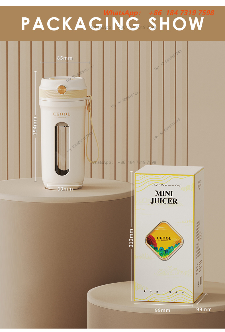 Portable Blender Usb Rechargeable - Blender portable, machine à jus électrique